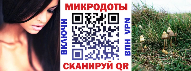 Галлюциногенные грибы Cubensis  Бавлы 
